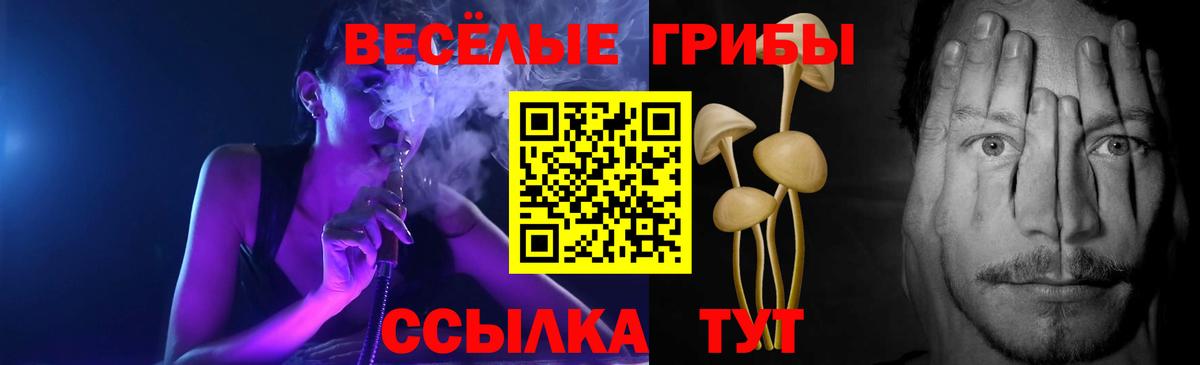 Псилоцибиновые грибы мухоморы  Псилоцибиновые грибы прущие грибы  Глазов  Вход с VPN 